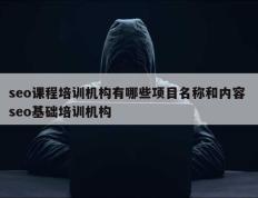 seo课程培训机构有哪些项目名称和内容 seo基础培训机构