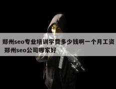 郑州seo专业培训学费多少钱啊一个月工资 郑州seo公司哪家好