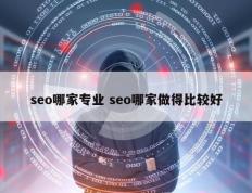 seo哪家专业 seo哪家做得比较好