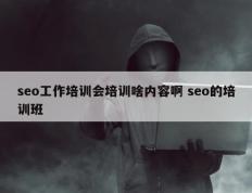 seo工作培训会培训啥内容啊 seo的培训班