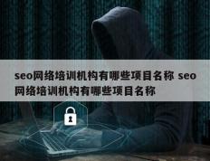 seo网络培训机构有哪些项目名称 seo网络培训机构有哪些项目名称