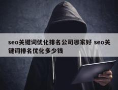 seo关键词优化排名公司哪家好 seo关键词排名优化多少钱