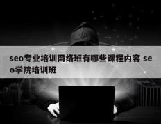 seo专业培训网络班有哪些课程内容 seo学院培训班