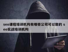 seo课程培训机构有哪些公司可以做的 seo实战培训机构