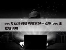 seo专业培训机构哪家好一点啊 seo课程培训班
