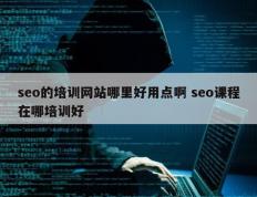 seo的培训网站哪里好用点啊 seo课程在哪培训好