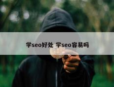 学seo好处 学seo容易吗