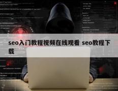 seo入门教程视频在线观看 seo教程下载