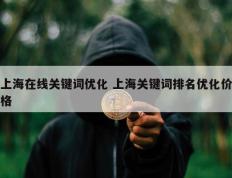 上海在线关键词优化 上海关键词排名优化价格