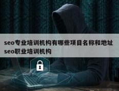 seo专业培训机构有哪些项目名称和地址 seo职业培训机构