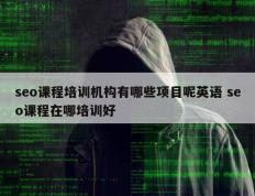seo课程培训机构有哪些项目呢英语 seo课程在哪培训好