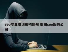 seo专业培训机构郑州 郑州seo服务公司