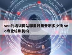 seo的培训网站哪里好用些啊多少钱 seo专业培训机构