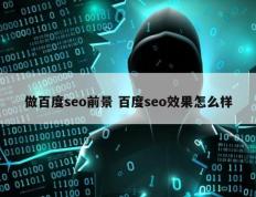 做百度seo前景 百度seo效果怎么样