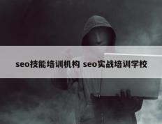 seo技能培训机构 seo实战培训学校