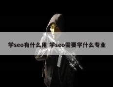 学seo有什么用 学seo需要学什么专业