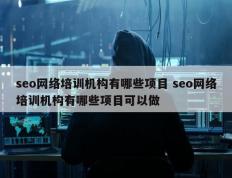 seo网络培训机构有哪些项目 seo网络培训机构有哪些项目可以做