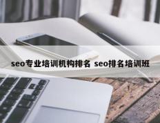 seo专业培训机构排名 seo排名培训班