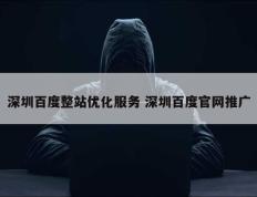 深圳百度整站优化服务 深圳百度官网推广