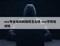 seo专业培训网络班怎么样 seo学院培训班