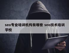 seo专业培训机构有哪些 seo技术培训学校