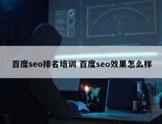 百度seo排名培训 百度seo效果怎么样