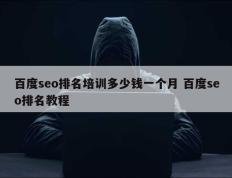 百度seo排名培训多少钱一个月 百度seo排名教程