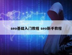 seo基础入门教程 seo新手教程