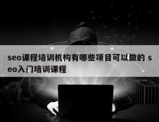 seo课程培训机构有哪些项目可以做的 seo入门培训课程