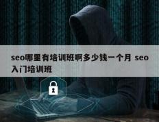 seo哪里有培训班啊多少钱一个月 seo入门培训班