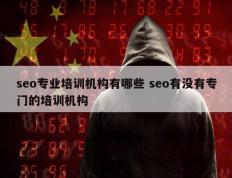 seo专业培训机构有哪些 seo有没有专门的培训机构