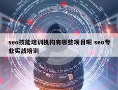 seo技能培训机构有哪些项目呢 seo专业实战培训