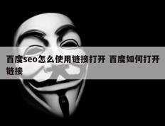 百度seo怎么使用链接打开 百度如何打开链接