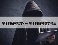 哪个网站可以学seo 哪个网站可以学粤语