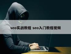 seo实战教程 seo入门教程视频