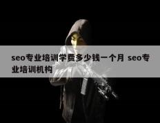 seo专业培训学费多少钱一个月 seo专业培训机构