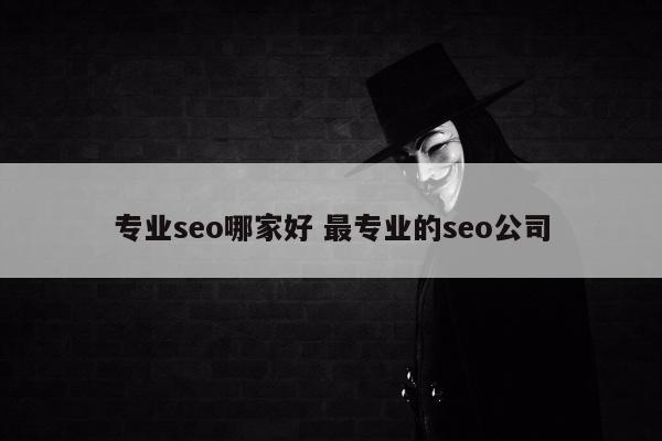 专业seo哪家好 最专业的seo公司