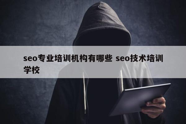 seo专业培训机构有哪些 seo技术培训学校