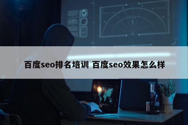 百度seo排名培训 百度seo效果怎么样