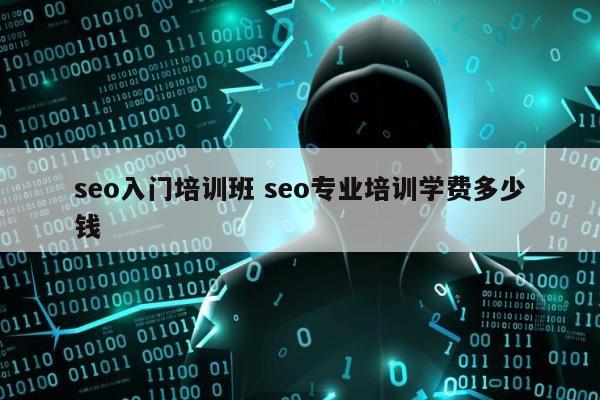 seo入门培训班 seo专业培训学费多少钱