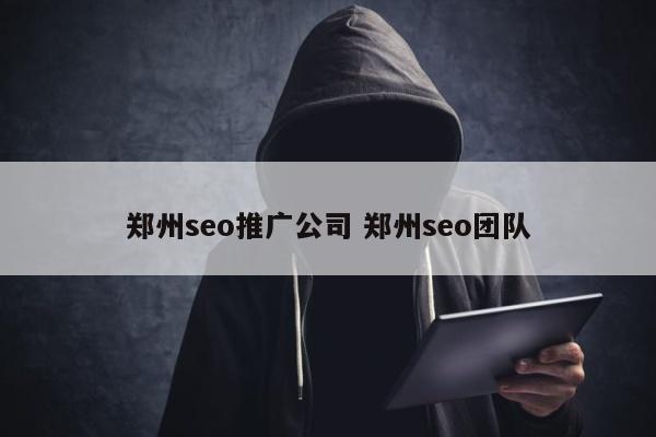 郑州seo推广公司 郑州seo团队