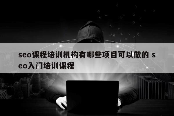 seo课程培训机构有哪些项目可以做的 seo入门培训课程