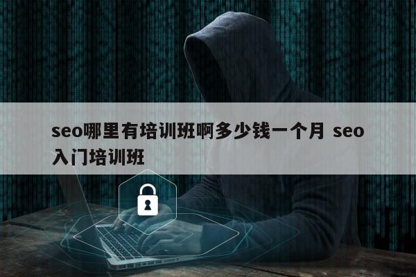 seo哪里有培训班啊多少钱一个月 seo入门培训班