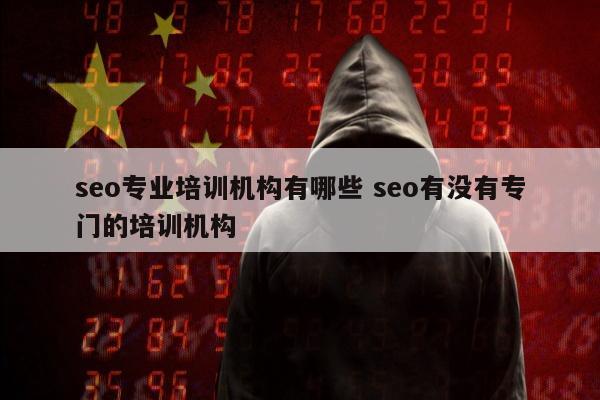 seo专业培训机构有哪些 seo有没有专门的培训机构