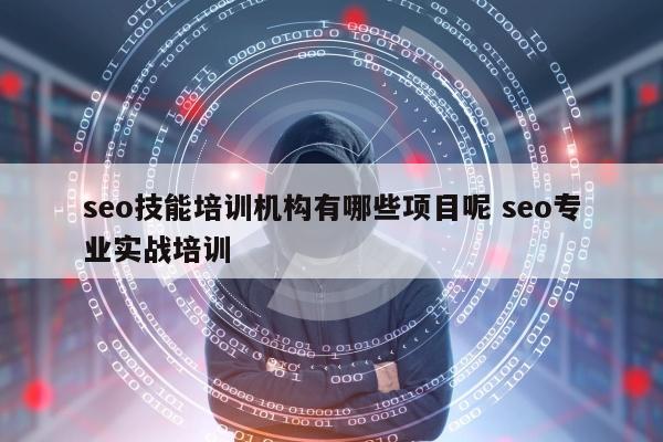 seo技能培训机构有哪些项目呢 seo专业实战培训