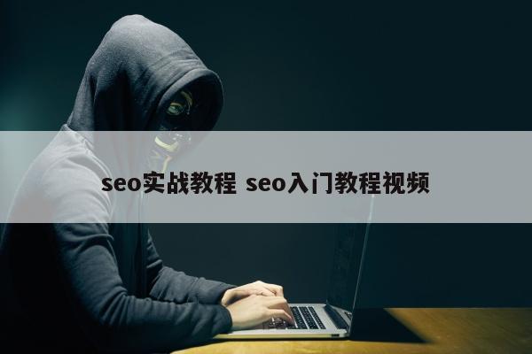 seo实战教程 seo入门教程视频