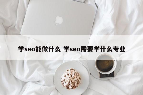 学seo能做什么 学seo需要学什么专业