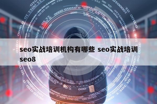 seo实战培训机构有哪些 seo实战培训seo8