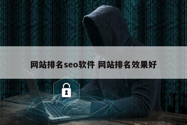 网站排名seo软件 网站排名效果好