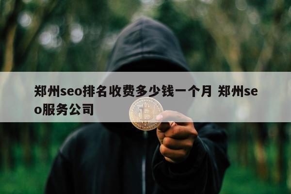 郑州seo排名收费多少钱一个月 郑州seo服务公司